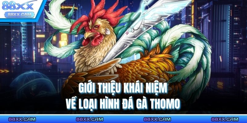 Giới thiệu khái niệm về loại hình đá gà thomo